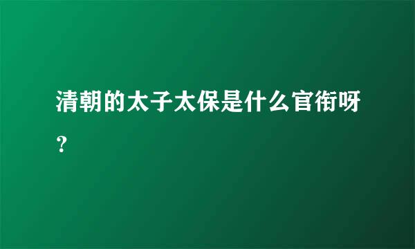 清朝的太子太保是什么官衔呀？