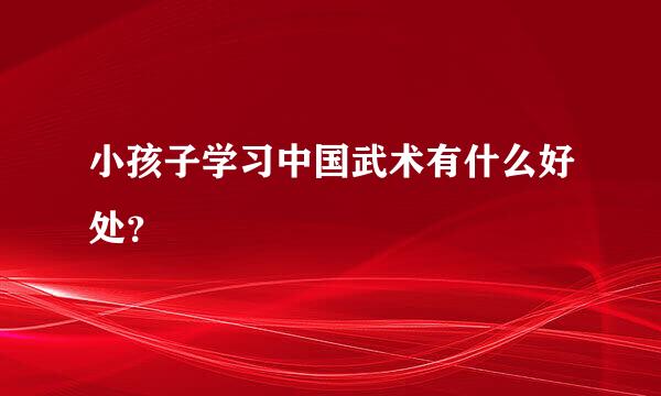 小孩子学习中国武术有什么好处？