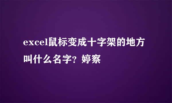 excel鼠标变成十字架的地方叫什么名字？婷察