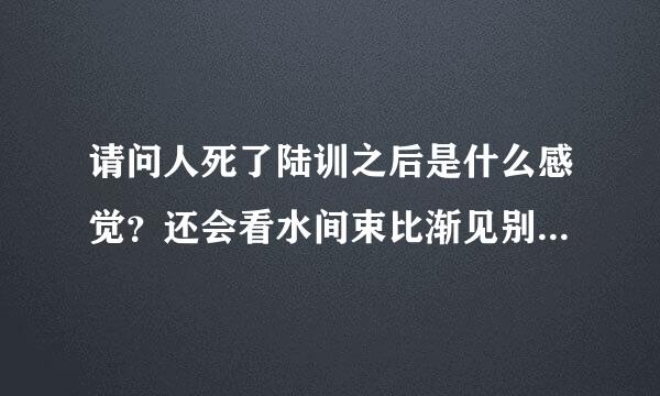 请问人死了陆训之后是什么感觉？还会看水间束比渐见别的人了吗？会一直在这行宣意个世界吗？