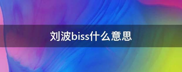 刘波biss什么意思