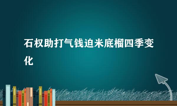 石权助打气钱迫米底榴四季变化