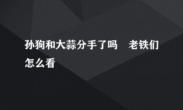 孙狗和大蒜分手了吗 老铁们怎么看