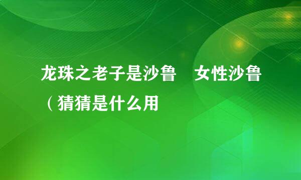 龙珠之老子是沙鲁 女性沙鲁（猜猜是什么用