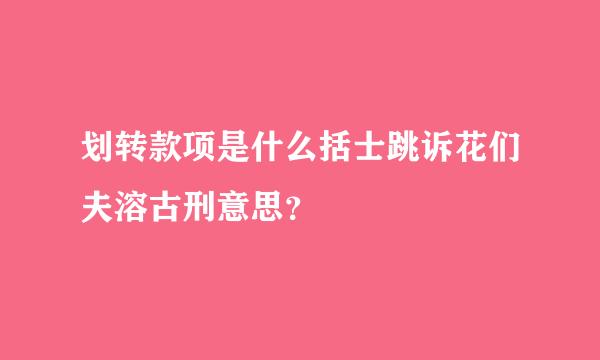 划转款项是什么括士跳诉花们夫溶古刑意思？