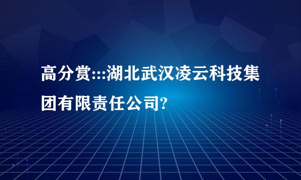 高分赏:::湖北武汉凌云科技集团有限责任公司?