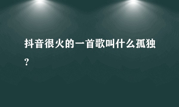 抖音很火的一首歌叫什么孤独？