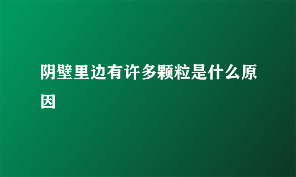 阴壁里边有许多颗粒是什么原因