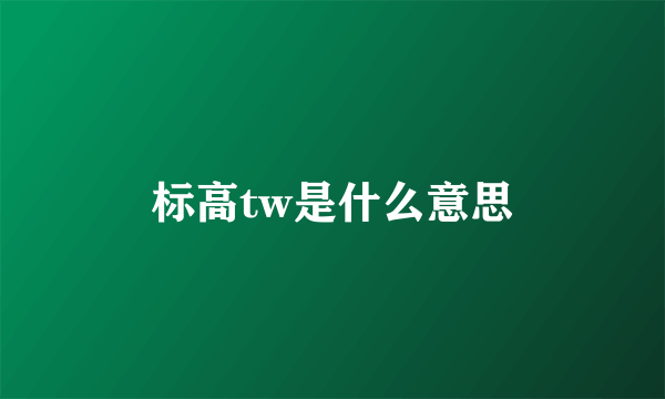 标高tw是什么意思