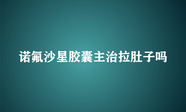 诺氟沙星胶囊主治拉肚子吗