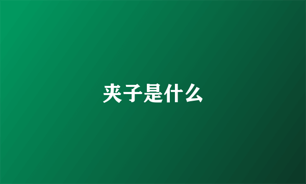 夹子是什么