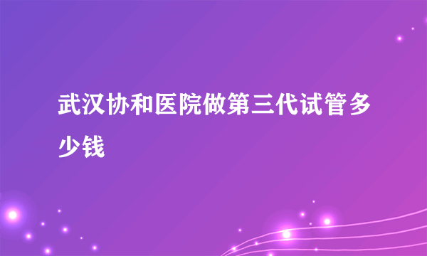 武汉协和医院做第三代试管多少钱