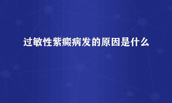 过敏性紫癜病发的原因是什么