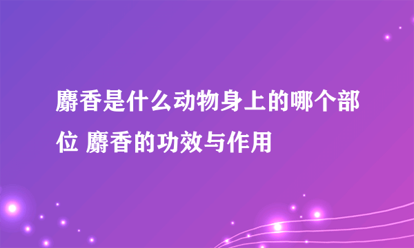 麝香是什么动物身上的哪个部位 麝香的功效与作用