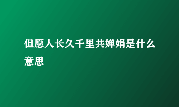 但愿人长久千里共婵娟是什么意思