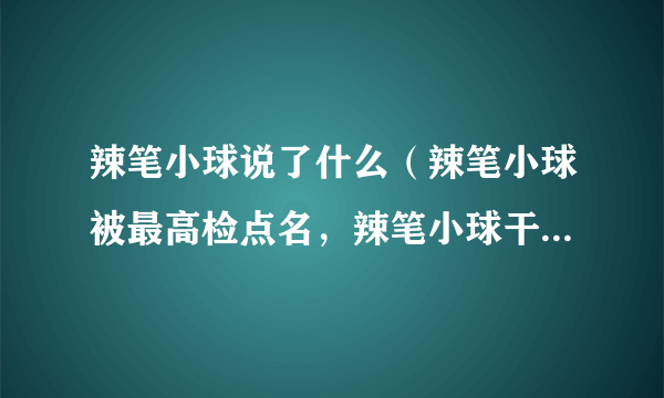 辣笔小球说了什么（辣笔小球被最高检点名，辣笔小球干啥了）百科_飞外网