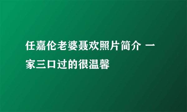 任嘉伦老婆聂欢照片简介 一家三口过的很温馨