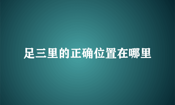 足三里的正确位置在哪里