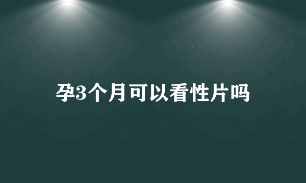 孕3个月可以看性片吗