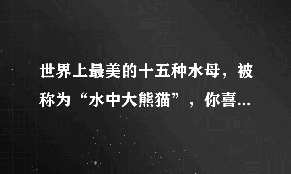 世界上最美的十五种水母，被称为“水中大熊猫”，你喜欢哪一种呢