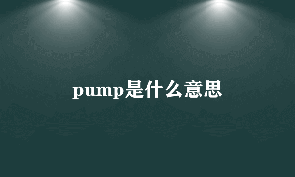 pump是什么意思