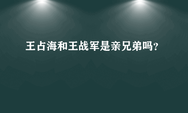 王占海和王战军是亲兄弟吗？