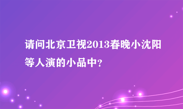 请问北京卫视2013春晚小沈阳等人演的小品中？