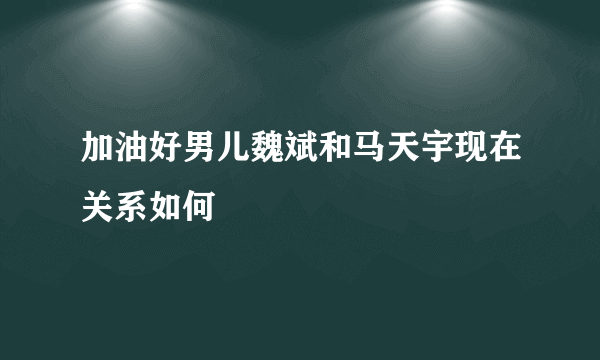 加油好男儿魏斌和马天宇现在关系如何