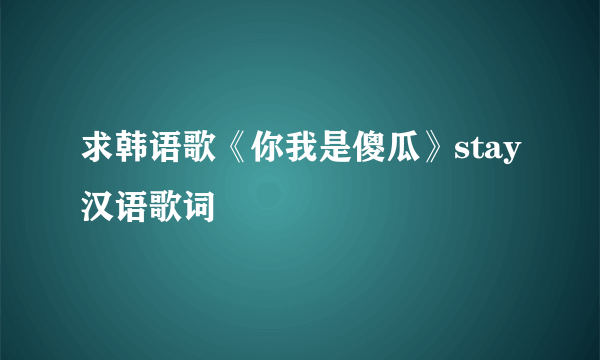 求韩语歌《你我是傻瓜》stay汉语歌词