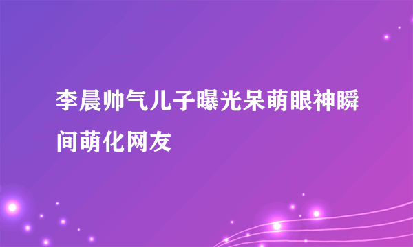 李晨帅气儿子曝光呆萌眼神瞬间萌化网友