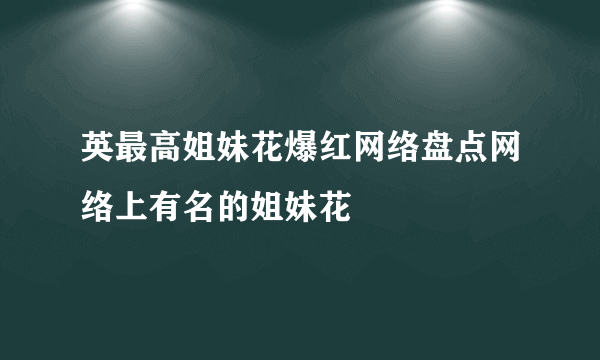 英最高姐妹花爆红网络盘点网络上有名的姐妹花