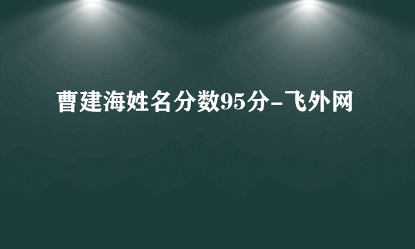 曹建海姓名分数95分-飞外网