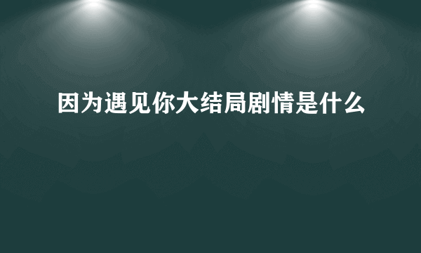 因为遇见你大结局剧情是什么