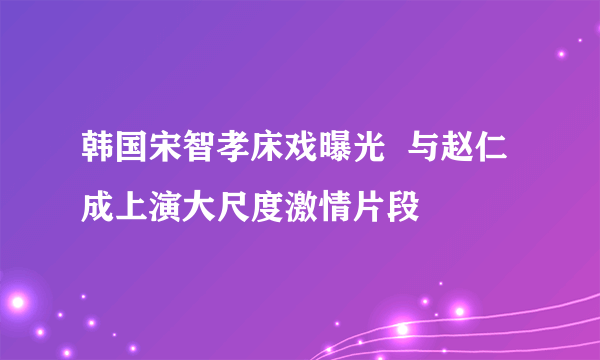 韩国宋智孝床戏曝光  与赵仁成上演大尺度激情片段