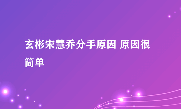 玄彬宋慧乔分手原因 原因很简单