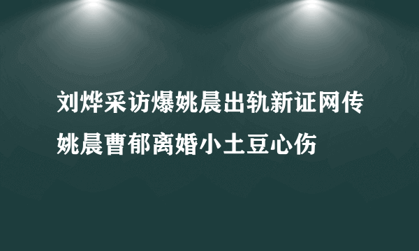 刘烨采访爆姚晨出轨新证网传姚晨曹郁离婚小土豆心伤