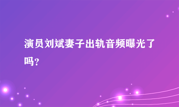 演员刘斌妻子出轨音频曝光了吗？