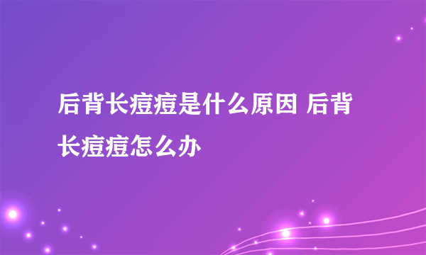 后背长痘痘是什么原因 后背长痘痘怎么办