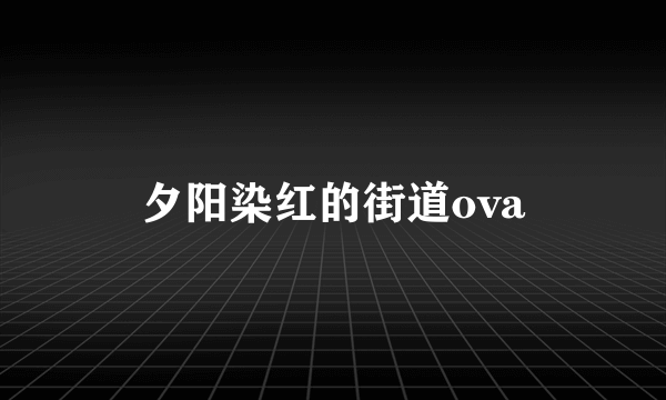 夕阳染红的街道ova