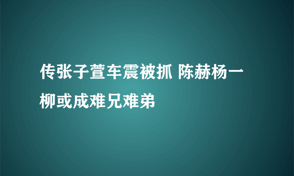 传张子萱车震被抓 陈赫杨一柳或成难兄难弟