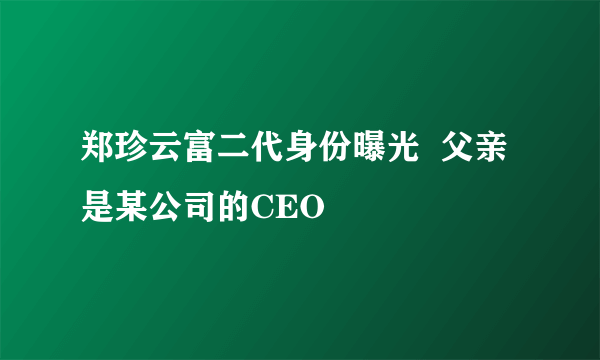 郑珍云富二代身份曝光  父亲是某公司的CEO