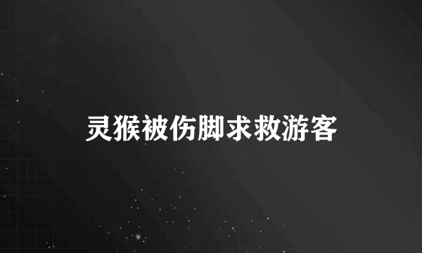 灵猴被伤脚求救游客