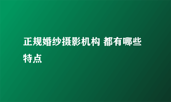 正规婚纱摄影机构 都有哪些特点