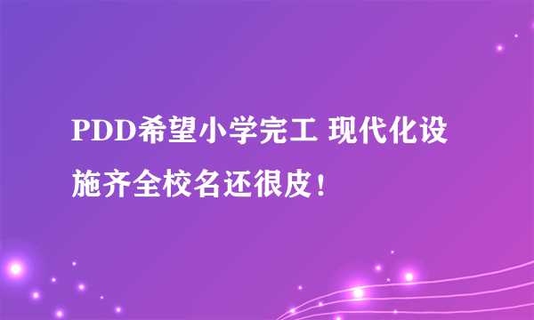 PDD希望小学完工 现代化设施齐全校名还很皮！