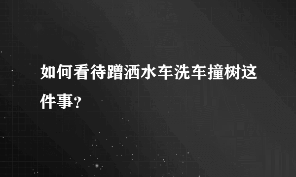 如何看待蹭洒水车洗车撞树这件事？