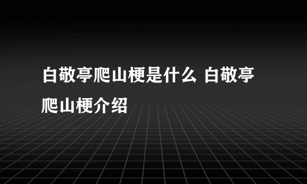 白敬亭爬山梗是什么 白敬亭爬山梗介绍