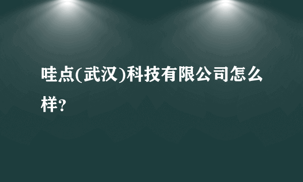 哇点(武汉)科技有限公司怎么样？