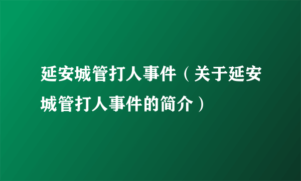 延安城管打人事件（关于延安城管打人事件的简介）