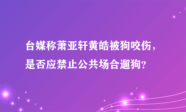 台媒称萧亚轩黄皓被狗咬伤，是否应禁止公共场合遛狗？