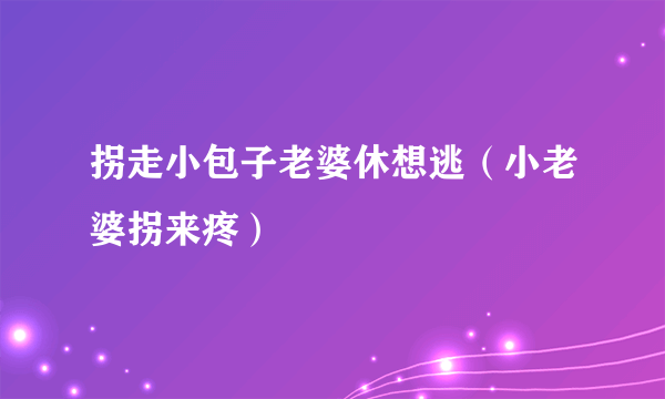 拐走小包子老婆休想逃（小老婆拐来疼）